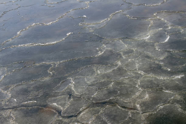 istock Surface of snow sludge on water. 1023401490