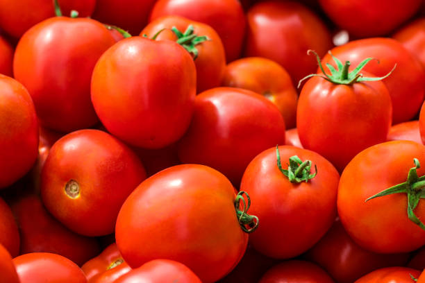 istock red tomatoes background. Group of tomatoes 1023417264