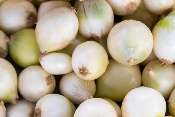 The white Onions at fresh-food market