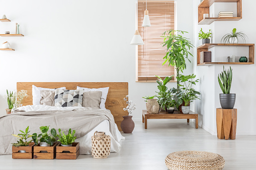 PUF y plantas en interior luminoso dormitorio con almohadas en la cama con cabecera de madera. Foto real photo
