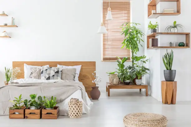 Pouf and plants in bright bedroom interior with pillows on bed with wooden headboard. Real photo