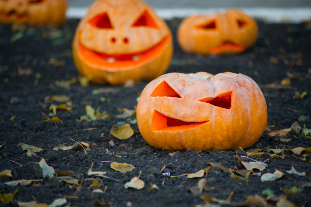 istock Celebration Decoration Halloween Holiday 1023422366