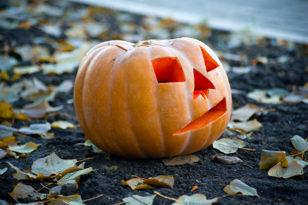 istock Celebration Decoration Halloween Holiday 1023422386