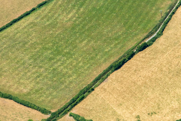 istock Aerial views over Farmland, Cornwall during a dry summer. 1023425154