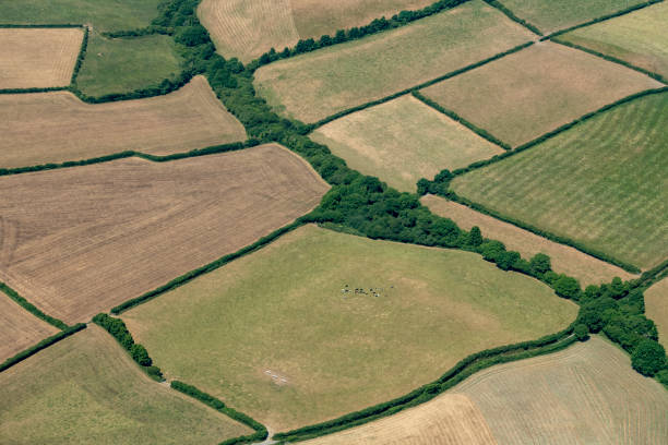istock Aerial views over Farmland, Cornwall during a dry summer. 1023425178