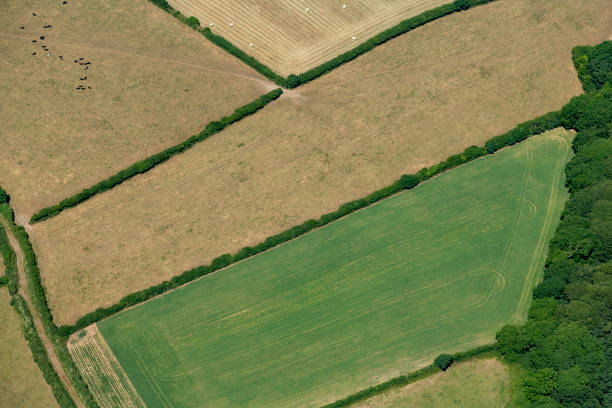 istock Aerial views over Farmland, Cornwall during a dry summer. 1023425196