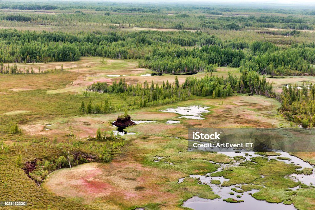 Northern landscape. Endless forests. Impenetrable swamps in the north Aerial View Stock Photo