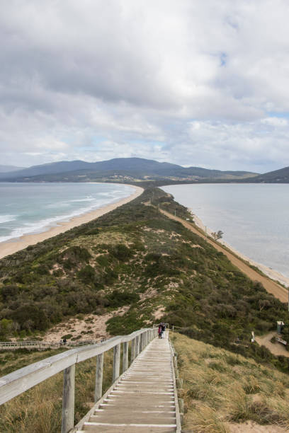 istock The Neck Lookout 1023437922