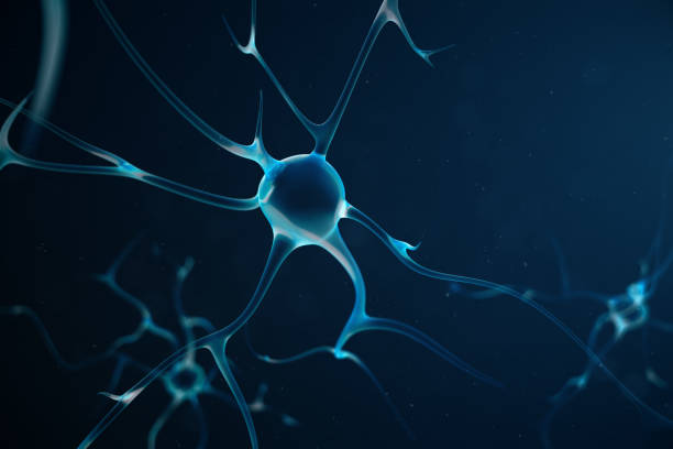링크 매듭을 가진 추상 신경 세포입니다. 시 냅 스 및 신경 세포 전기 화학 신호를 보내는입니다. 전기 펄스, 3d 일러스트와 상호 뉴런의 신경 - lightning nerve cell electricity energy 뉴스 사진 이미지