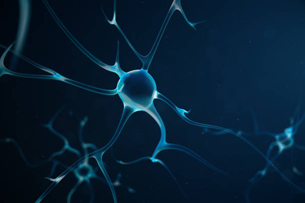 istock Abstract neuron cells with link knots. Synapse and neuron cells sending electrical chemical signals. Neuron of Interconnected neurons with electrical pulses, 3D illustration 1023438548