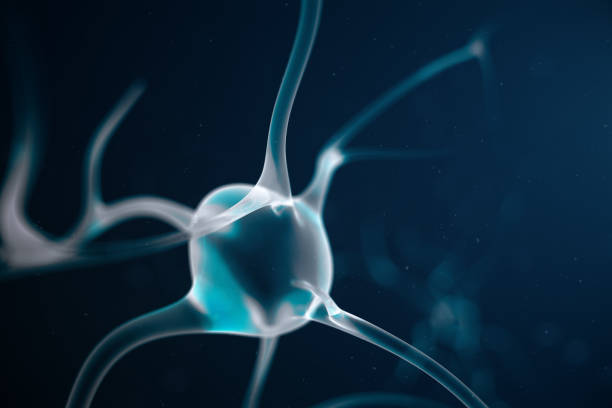 cellule neuronali astratte con nodi di collegamento. sinapsi e cellule neuronali che inviano segnali chimici elettrici. neurone di neuroni interconnessi con impulsi elettrici, illustrazione 3d - neurotransmission foto e immagini stock