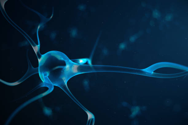 cellule neuronali astratte con nodi di collegamento. sinapsi e cellule neuronali che inviano segnali chimici elettrici. neurone di neuroni interconnessi con impulsi elettrici, illustrazione 3d - neurotransmission foto e immagini stock