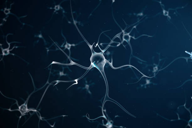 istock Abstract neuron cells with link knots. Synapse and neuron cells sending electrical chemical signals. Neuron of Interconnected neurons with electrical pulses, 3D illustration 1023438596