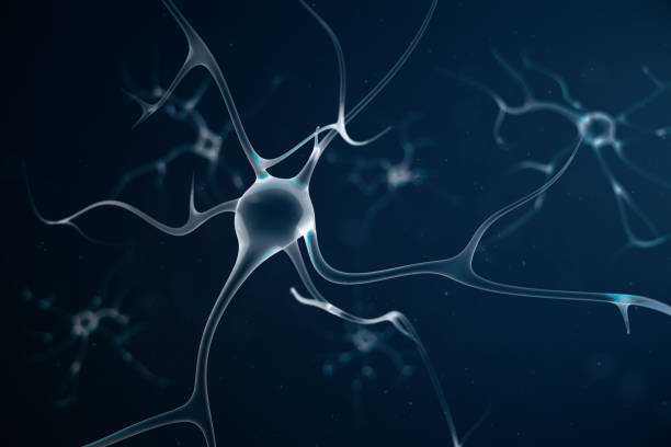 istock Abstract neuron cells with link knots. Synapse and neuron cells sending electrical chemical signals. Neuron of Interconnected neurons with electrical pulses, 3D illustration 1023438654