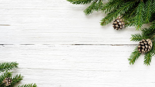 istock Christmas Fir tree branches and pine cones background 1023438980