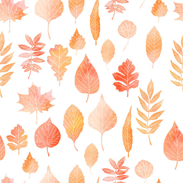 illustrazioni stock, clip art, cartoni animati e icone di tendenza di motivo senza cuciture con foglie autunnali - autumn backgrounds biology botany