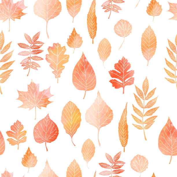 бесшовный узор с осенними листьями - autumn backgrounds biology botany stock illustrations