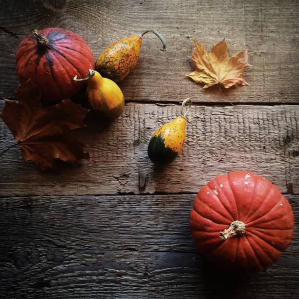 istock Celebration Decoration Halloween Holiday 1023444312