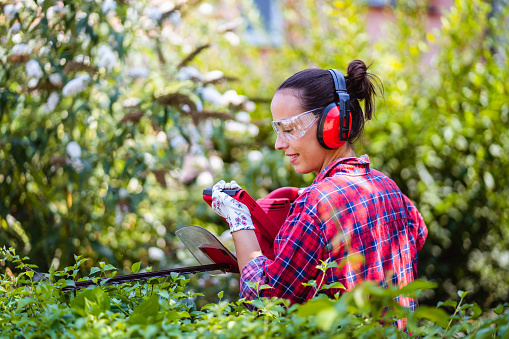 Young woman is pruning green hedge with electric trimmer in the backyard.