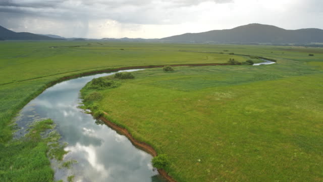 AERIAL Above a river in the cloudy marsh