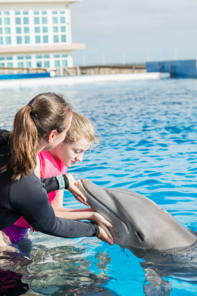 menina com golfinhos e animal trainer na água - dolphin aquarium bottle nosed dolphin smiling - fotografias e filmes do acervo