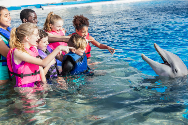 istock Children in water interacting with dolphin 1023456376