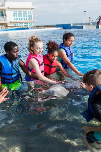 istock Children in water interacting with dolphin 1023456416