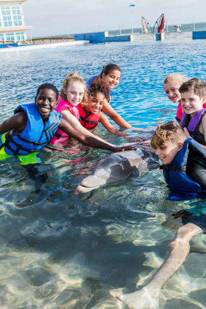 istock Children in water interacting with dolphin 1023456742