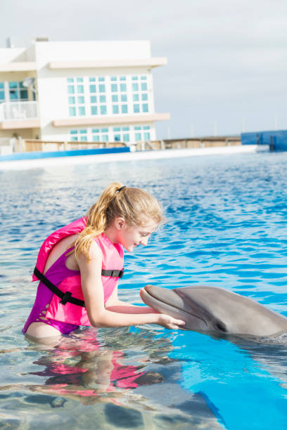 istock Girl standing in water petting a dolphin 1023457108