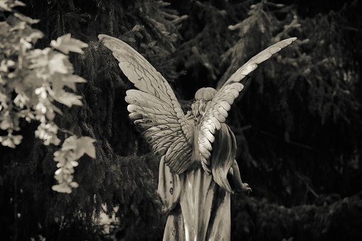 A stone statue of a winged angel.