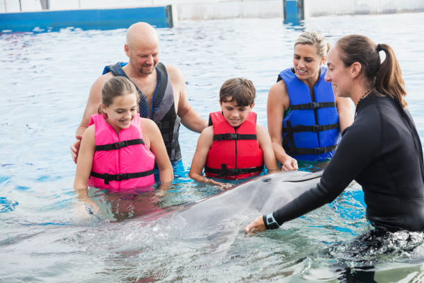 istock Family interacting with dolphin, trainer at marine park 1023467928