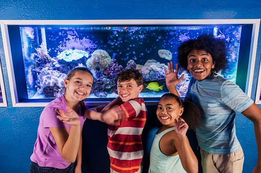 A group of four multi-ethnic children, two sets of siblings, visiting the aquarium. They are standing in front of a saltwater fish and coral exhibit, smiling and waving at the camera. They are mixed ages, from 9 to 14 years old.
