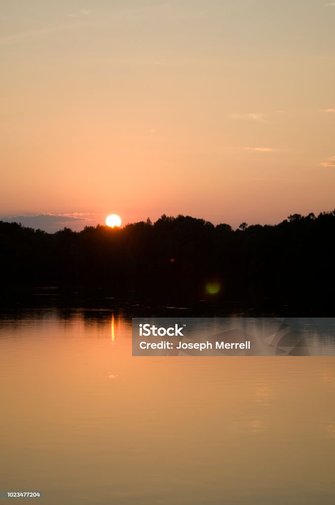 Sunset at Stumpy Lake in Summer Sunset at stumpy lake in August Lake Stock Photo Sunset at Stumpy Lake in Summer Sunset at stumpy lake in August Lake Stock Photo