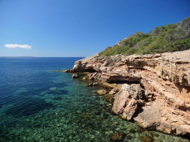 istock Rocky coast with crystal clear waters in Ibiza 1023477280
