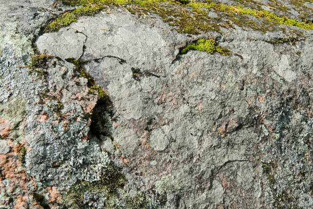 istock Old granite stone background with green and grey moss 1023485858