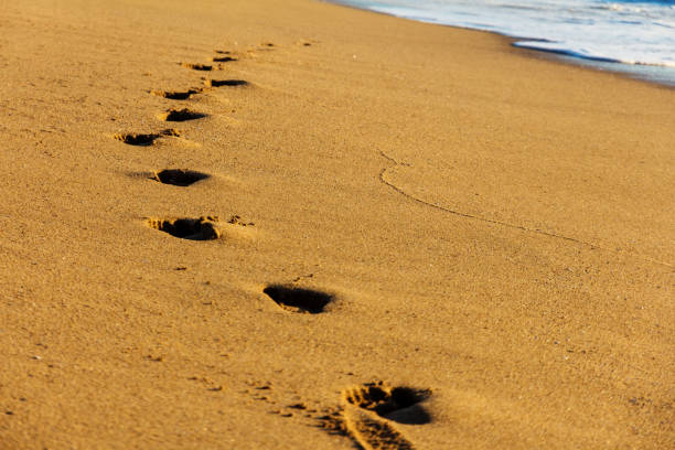 istock traces of a man on the beach 1023486824