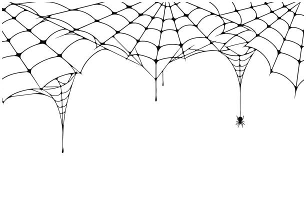 무서운 거미 웹 배경입니다. 거미와 거미줄 배경입니다. 할로윈 장식 짜증 거미줄 - 거미줄 stock illustrations