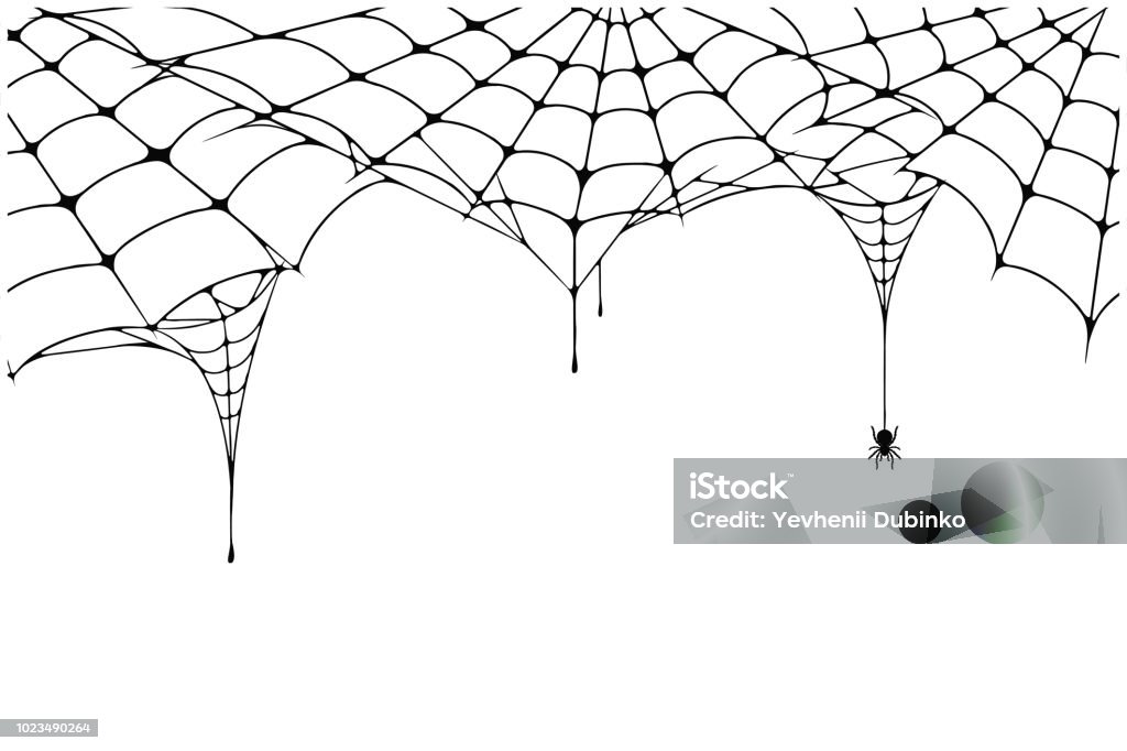Fundo da web aranha assustador. Fundo de teia de aranha com aranha. Teia de aranha assustador para a decoração de Halloween - Vetor de Dia das Bruxas royalty-free