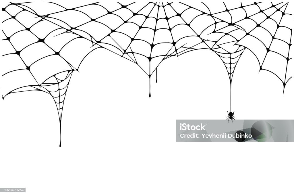 Scary spider web background. Cobweb background with spider. Spooky spider web for Halloween decoration Scary spider web background. Cobweb background with spider. Spooky spider web for Halloween decoration. Vector Halloween stock vector