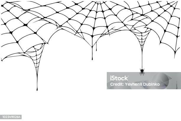 Scary Spider Web Background Cobweb Background With Spider Spooky Spider Web For Halloween Decoration Stock Illustration - Download Image Now