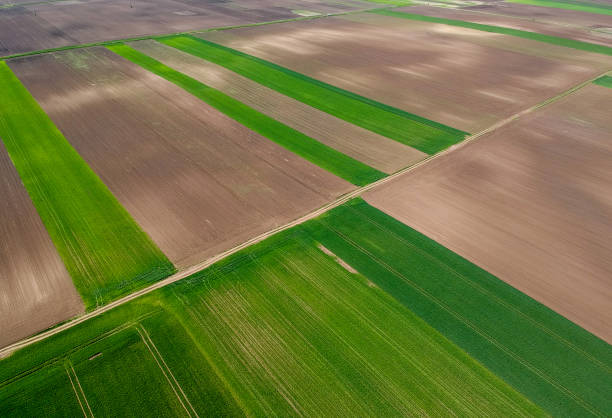 istock Aerial view of agricultural fields at spring 1023490856