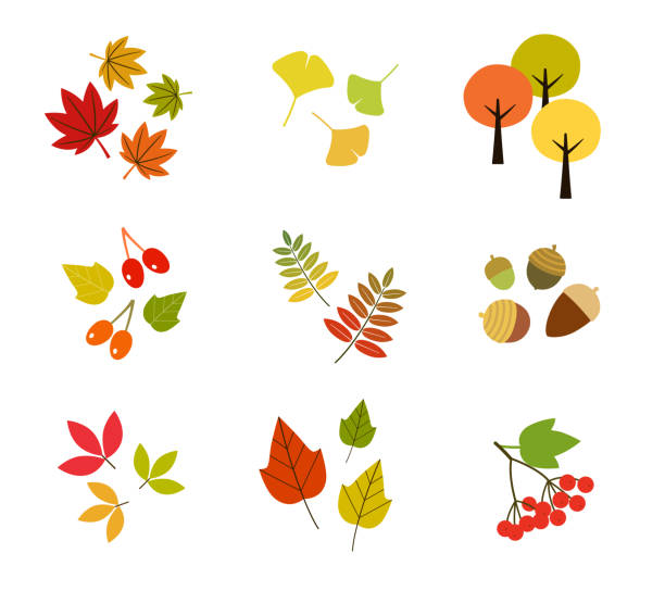 Fall icon set (eg autumn leaves) Fall icon set (eg autumn leaves) colorful fall leaves mountains stock illustrations