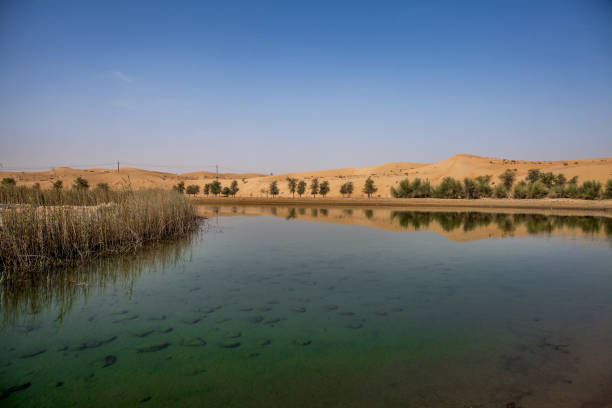 istock lake in the desert 1023505390