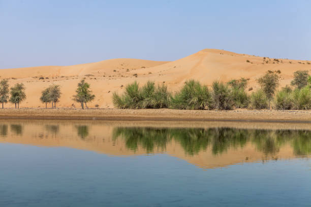 istock lake in the desert 1023505880