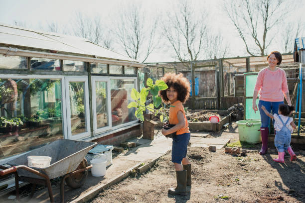 istock Planting Sunflowers at the Allotment 1023514328