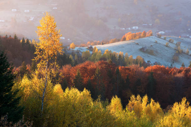 istock Autumn landscape with a beautiful forest in the mountains 1023514352