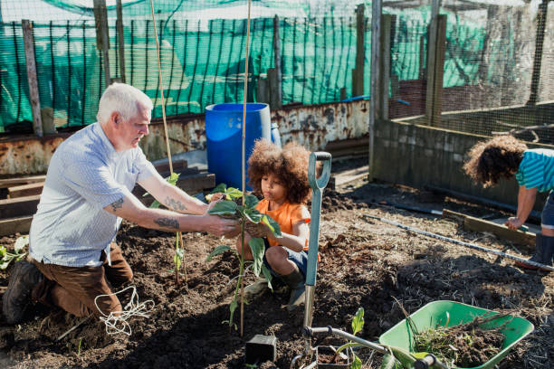 istock Gardening with Grandad 1023514438