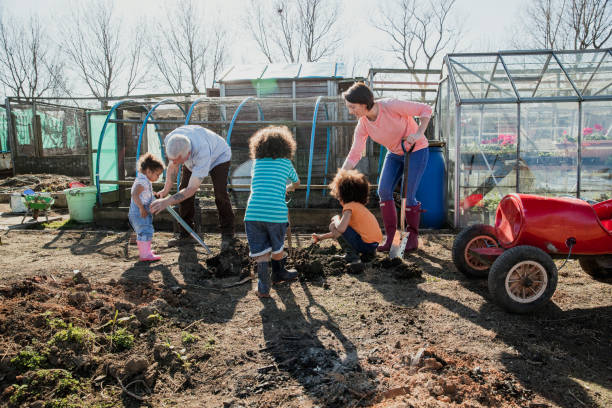 istock Family Teamwork at the Allotment 1023516840