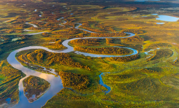 paysage de l'alaska - scenics denali national park alaska usa photos et images de collection