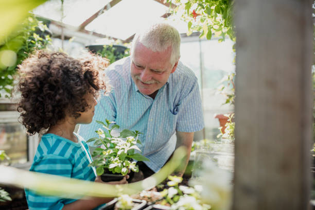 istock Potting Plants in Grandads Greenhouse 1023518228